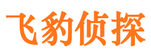 夏河寻人公司